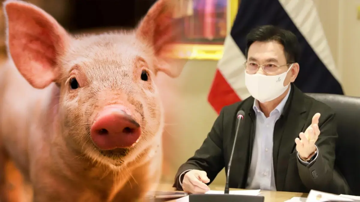 ‘จุรินทร์‘ เคาะห้ามส่งออกหมูเป็น 3 เดือน ‘จุรินทร์‘ เคาะห้ามส่งออกหมูเป็น 3 เดือน