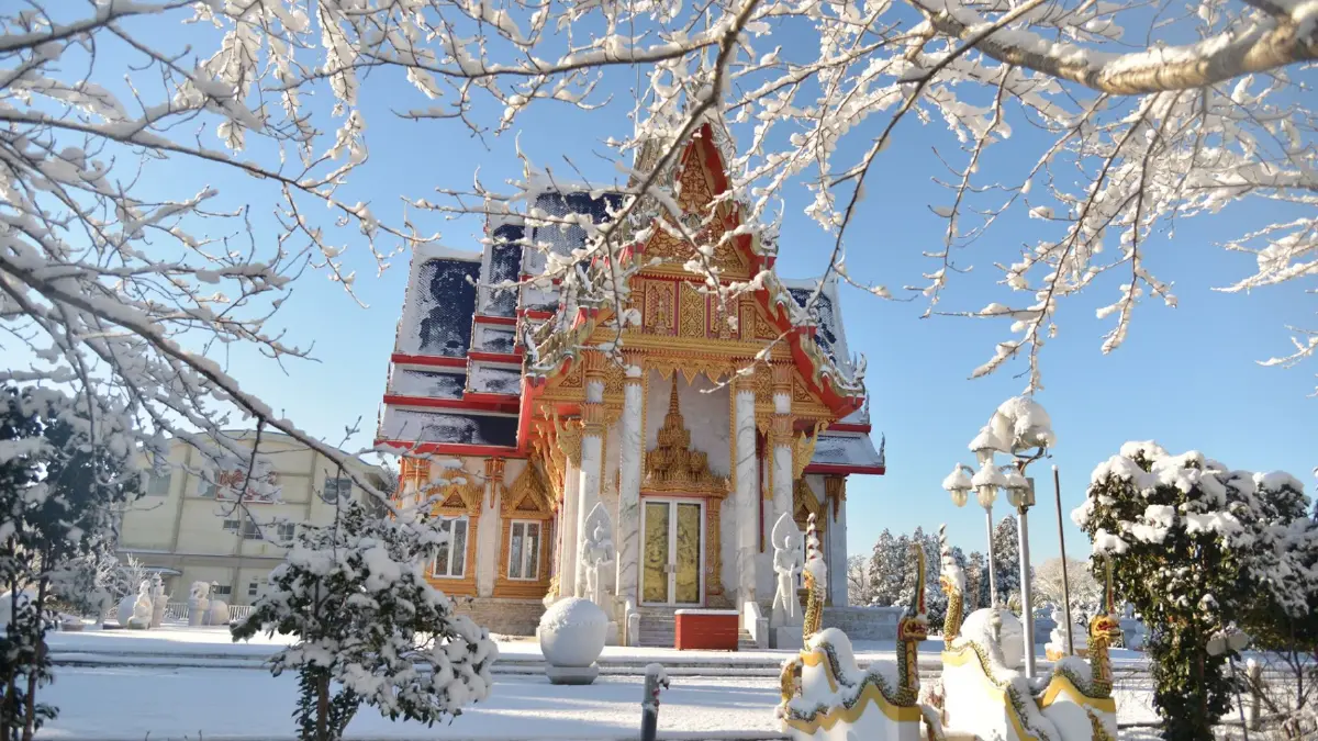 ความสวยงาม "วัดปากน้ำที่ญี่ปุ่น" (คลิป) ความสวยงาม "วัดปากน้ำที่ญี่ปุ่น" (คลิป)