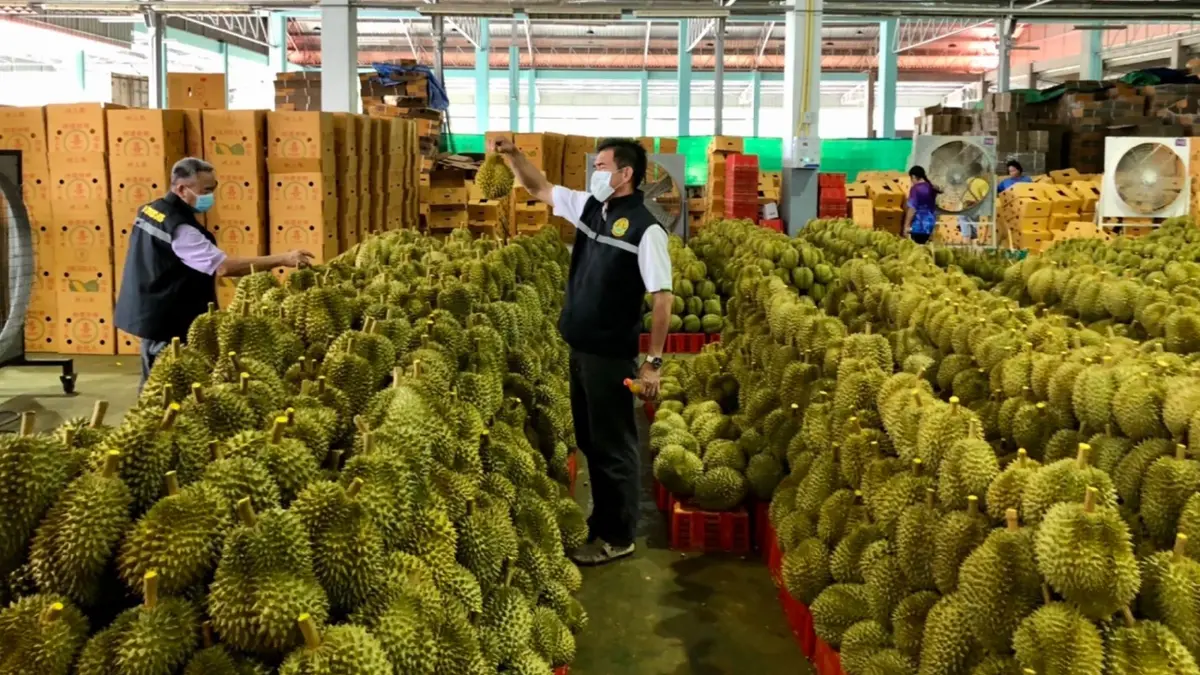 เกษตรฯ เดินเกมรุกดันส่งออกผลไม้ไปจีนแตะ 1 แสนล้าน