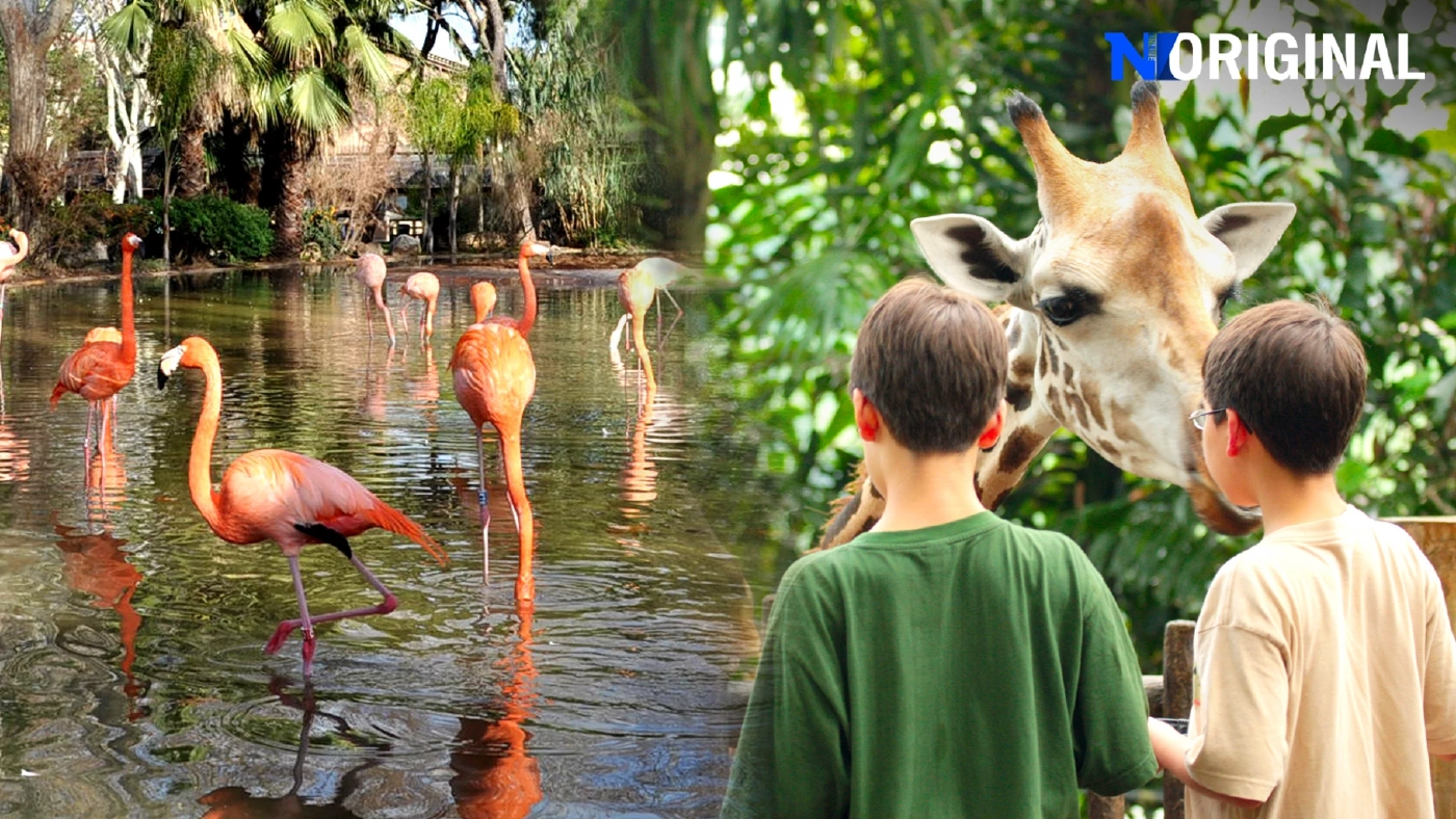 จากเขาดินถึงคลองหก เปิดตำนานสวนสัตว์แห่งประเทศไทย