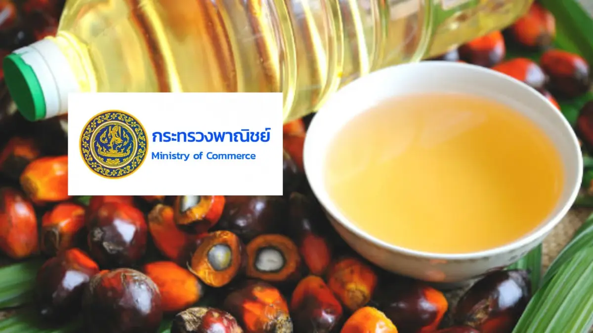 ไทยสร้างไทย อัด พาณิชย์ บริหารน้ำมันปาล์มผิดพลาด ทำคนไทยซื้อของแพง