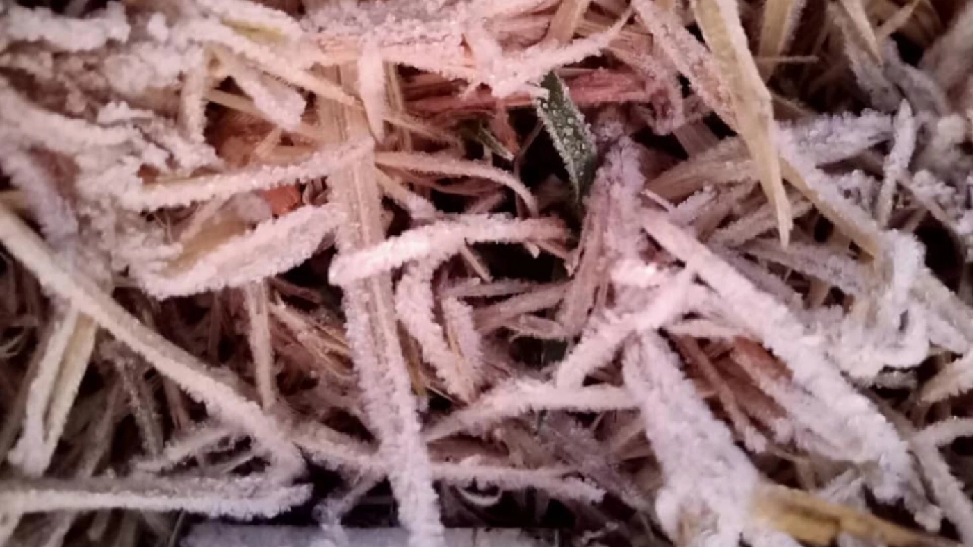 สวยงาม! ดอยอินทนนท์เกิดปรากฎการณ์ "แม่คะนิ้ง" ชุดแรกของปี 2565 สวยงาม! ดอยอินทนนท์เกิดปรากฎการณ์ "แม่คะนิ้ง" ชุดแรกของปี 2565