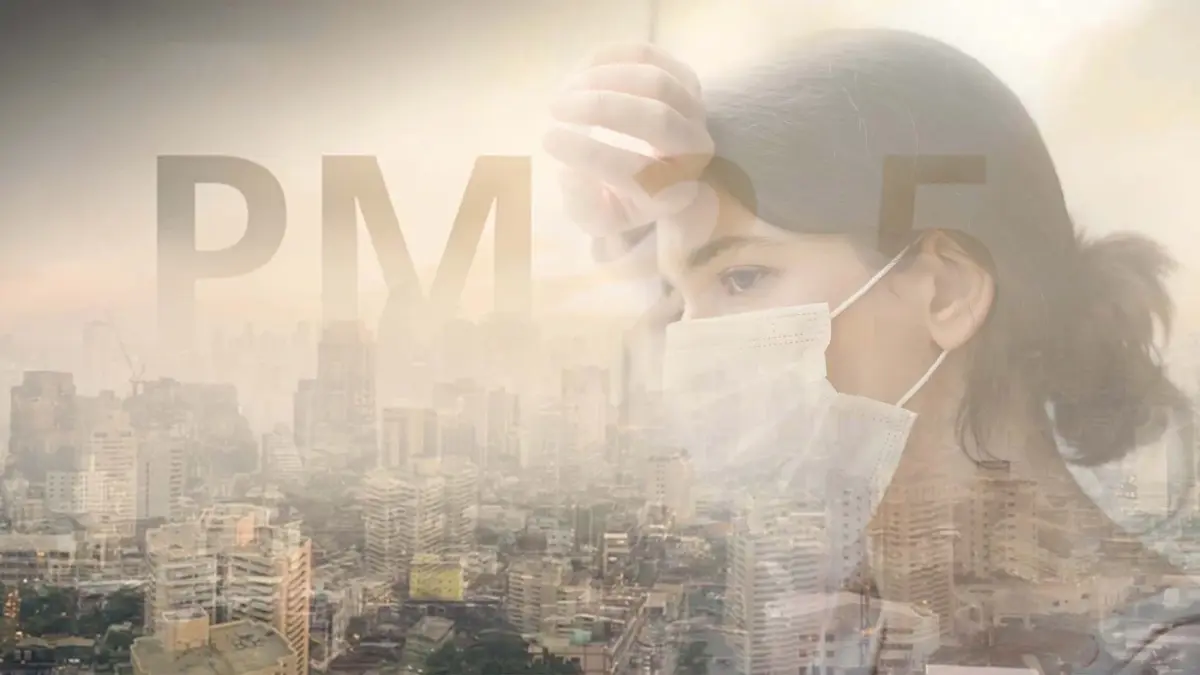 ค่าฝุ่น PM2.5 ในประเทศอยู่ในเกณฑ์มาตรฐาน พบเกินค่ามาตรฐาน 2 จังหวัด ค่าฝุ่น PM2.5 ในประเทศอยู่ในเกณฑ์มาตรฐาน พบเกินค่ามาตรฐาน 2 จังหวัด