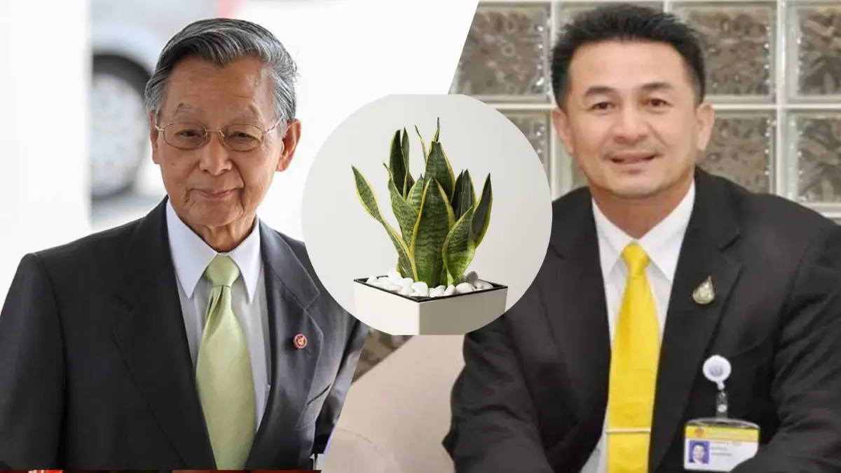 ชวน ให้ ต้นลิ้นมังกร นพ.ชลน่าน หลังรับพระบรมราชโองการแต่งตั้งผู้นำฝ่ายค้าน ชวน ให้ ต้นลิ้นมังกร นพ.ชลน่าน หลังรับพระบรมราชโองการแต่งตั้งผู้นำฝ่ายค้าน