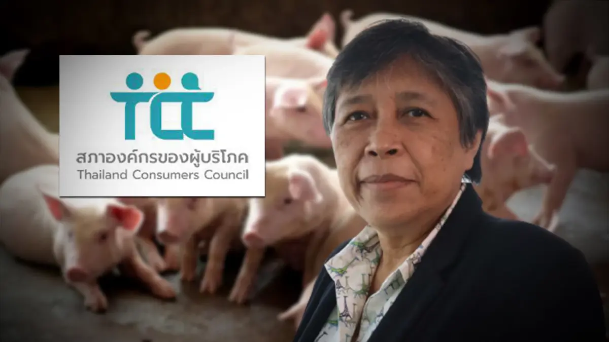 สอบ.จี้รัฐนำเข้าหมูแช่แข็งชั่วคราว ลดผลกระทบหมูแพง สอบ.จี้รัฐนำเข้าหมูแช่แข็งชั่วคราว ลดผลกระทบหมูแพง