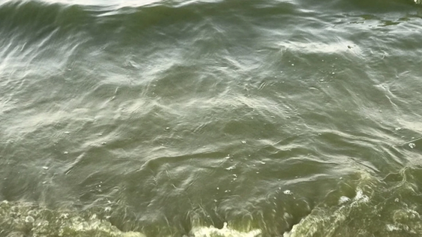 เจ้าท่าประจวบฯ พบ "แพลงก์ตอนบลูม" ไม่พบคราบน้ำมัน