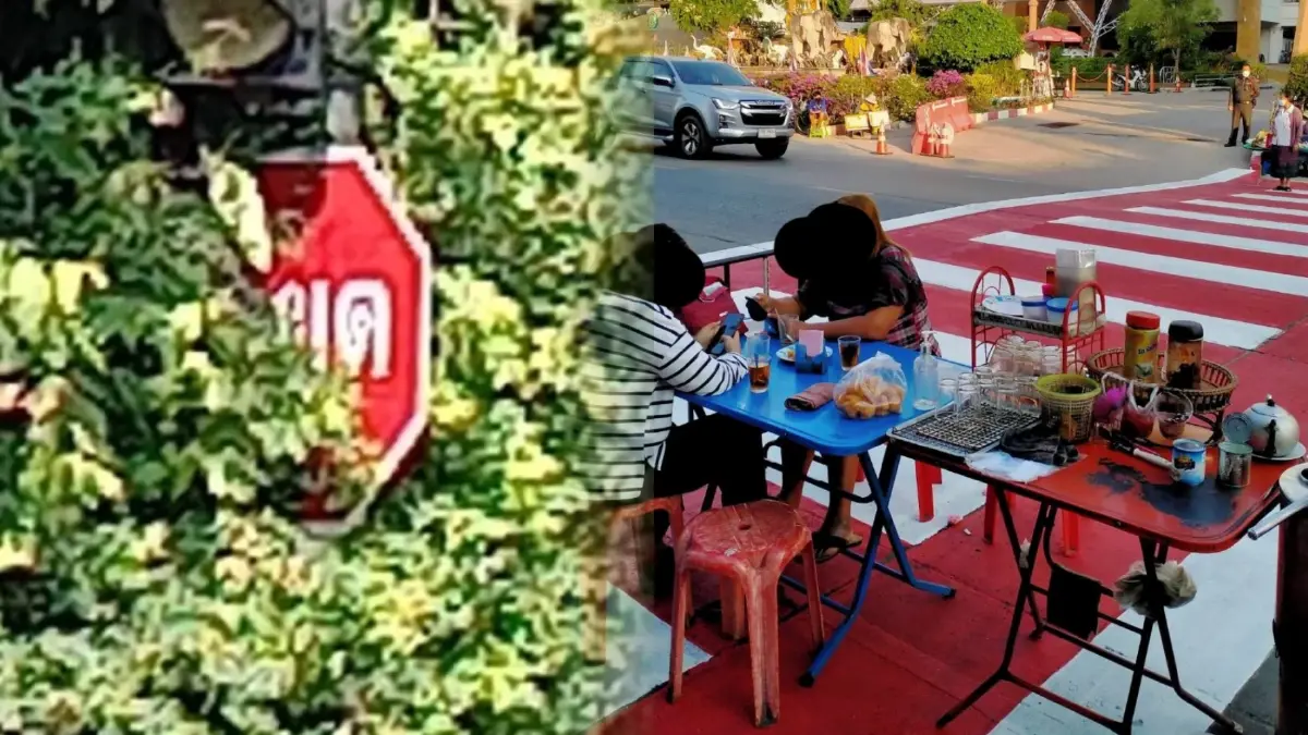 โซเชียลวิจารณ์สนั่น เปิดร้านอาหารบน"ทางม้าลาย" จี้ ตร .ดำเนินคดีด่วน โซเชียลวิจารณ์สนั่น เปิดร้านอาหารบน"ทางม้าลาย" จี้ ตร .ดำเนินคดีด่วน