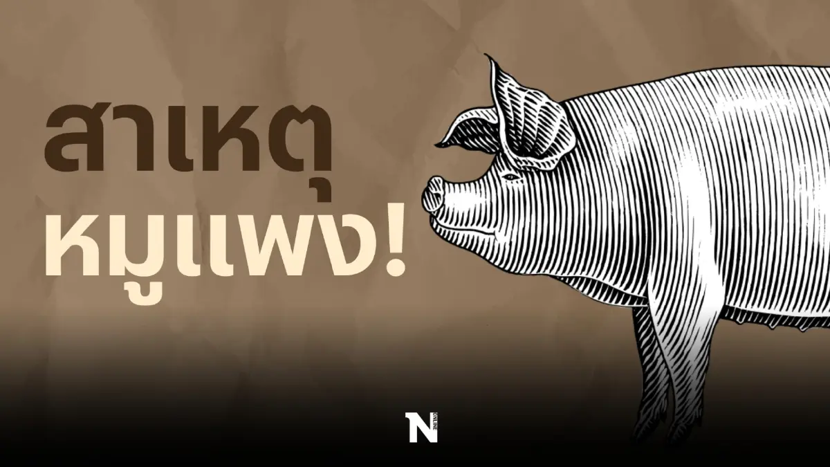 สาเหตุ "หมูแพง" รับปีใหม่ เกิดอะไรขึ้น?