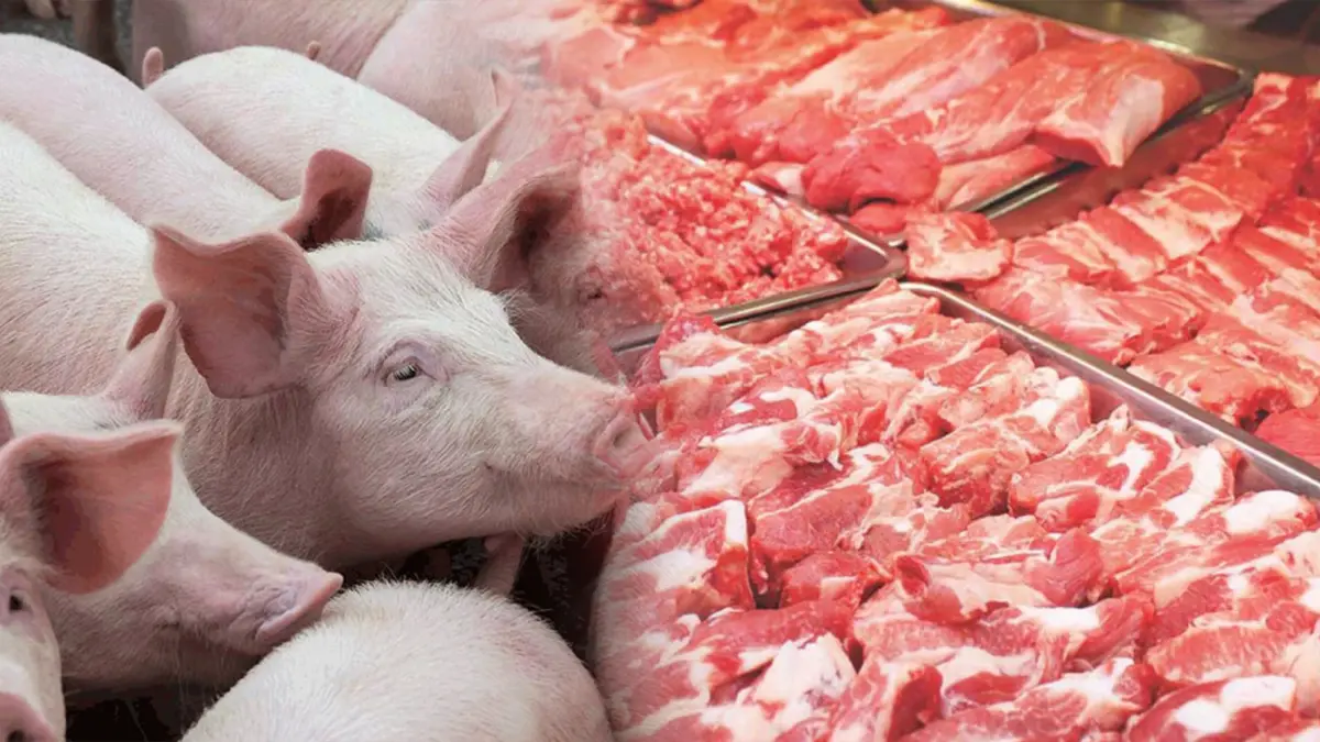 นัด 7 ม.ค. ถกเพิ่มกำลัง ‘ผลิต‘ หมู
