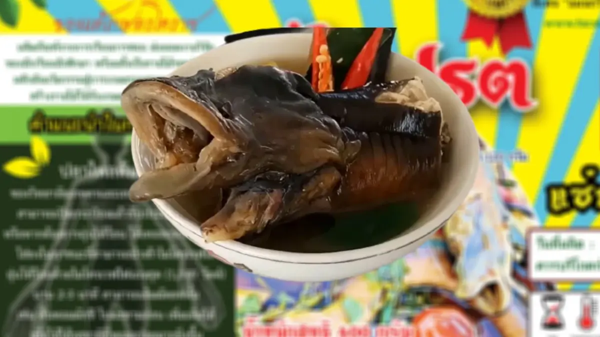 โซเชียลแห่แชร์เมนู "ปลาไหลต้มเปรตกระป๋อง" หวังกินแทนเนื้อหมูแพง โซเชียลแห่แชร์เมนู "ปลาไหลต้มเปรตกระป๋อง" หวังกินแทนเนื้อหมูแพง