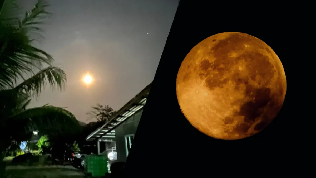 สวยงาม! คนไทยหลายพื้นที่ไม่ผิดหวัง ได้ชมปรากฎการณ์ "ไมโครฟูลมูน" ชัดเจน สวยงาม! คนไทยหลายพื้นที่ไม่ผิดหวัง ได้ชมปรากฎการณ์ "ไมโครฟูลมูน" ชัดเจน