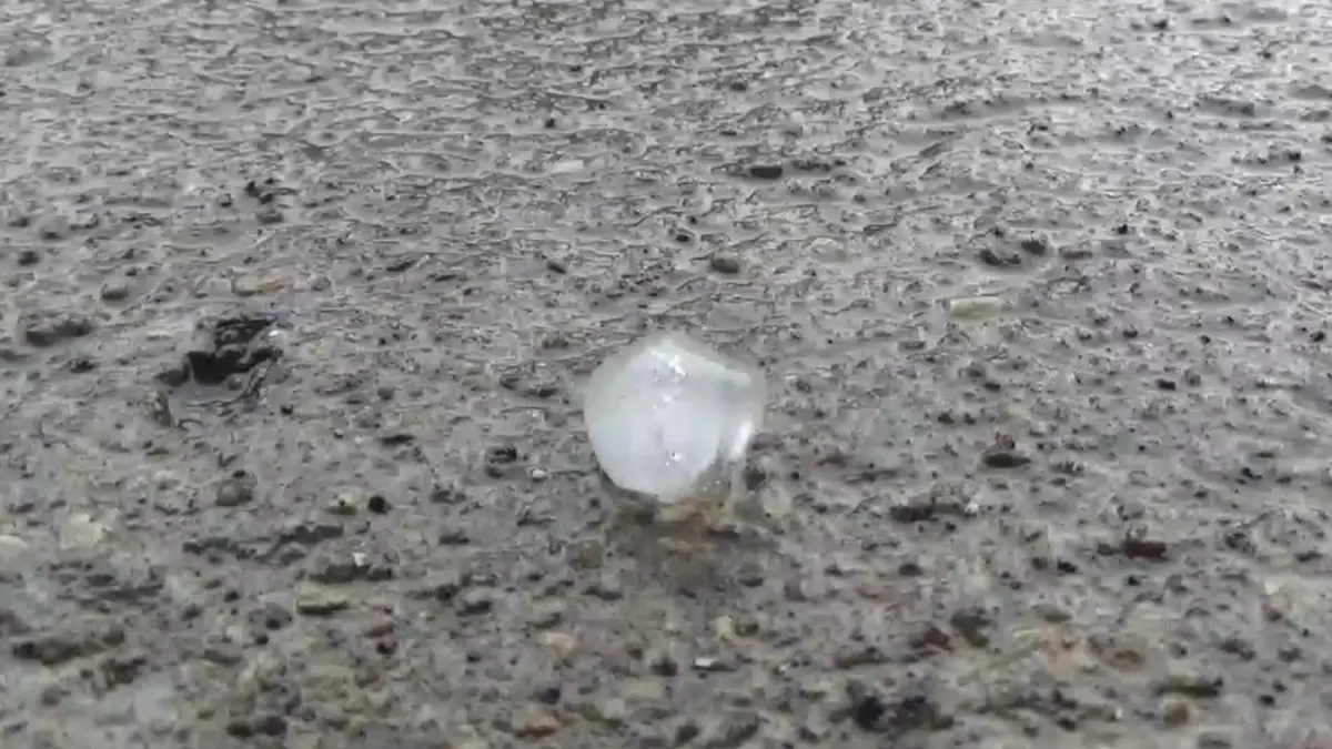 สภาพอากาศวันนี้ อุตุฯ เผย เหนือ11 จ. ระวัง ฝนฟ้าคะนองกับมีลมกระโชกและลูกเห็บ