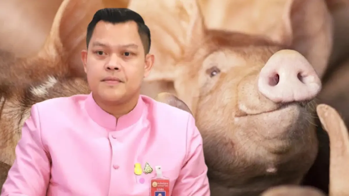 ครม.ทุ่ม 574 ล้านแก้ปัญหาโรคอหิวาต์ในหมู ครม.ทุ่ม 574 ล้านแก้ปัญหาโรคอหิวาต์ในหมู