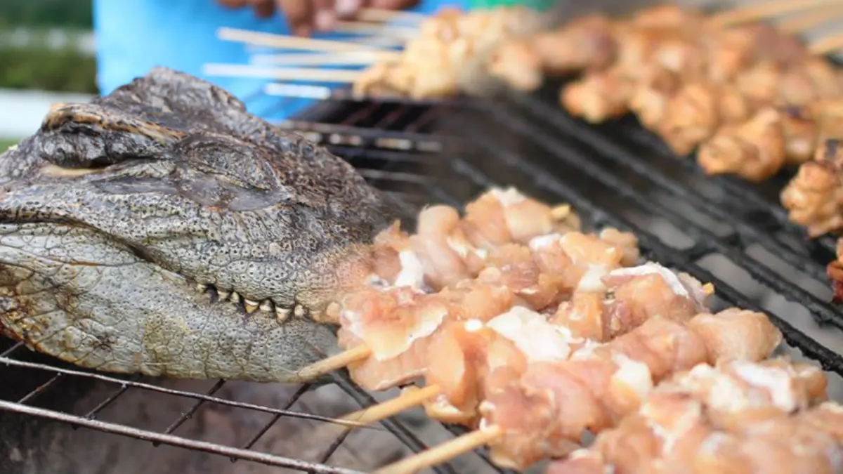 หมูแพง! ประชาชนแห่บริโภคเนื้อจระเข้ หมูแพง! ประชาชนแห่บริโภคเนื้อจระเข้