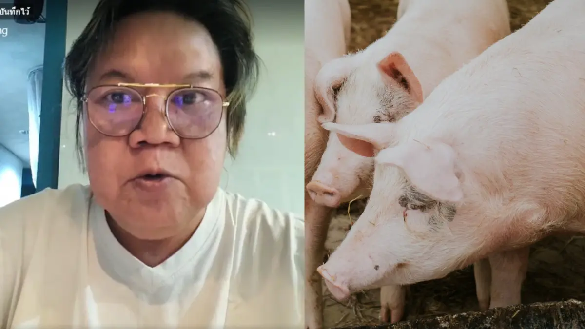 “อ.ยิ่งศักดิ์” ซัดหมูแพงเวอร์ 70 ปีเพิ่งเคยเจอ บ้านเมืองเป็นอะไรไปแล้ว “อ.ยิ่งศักดิ์” ซัดหมูแพงเวอร์ 70 ปีเพิ่งเคยเจอ บ้านเมืองเป็นอะไรไปแล้ว