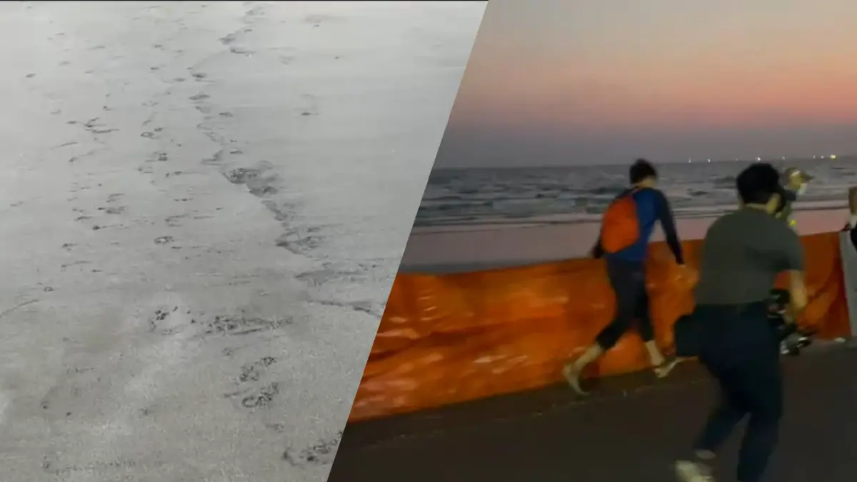 คราบน้ำมันถึงชายหาดเเม่รำพึง จนท.เร่งใช้กระดาษซับน้ำมันแยกออกจากทะเล