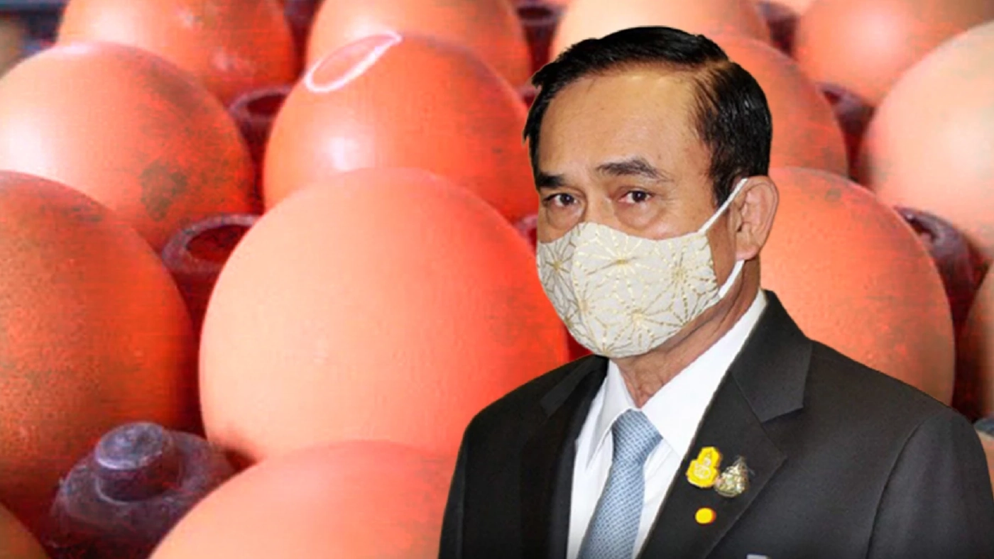 สำรวจ"ราคาไข่ไก่" ห้วง8ปี “รัฐบาลลุงตู่” แพงจริง?