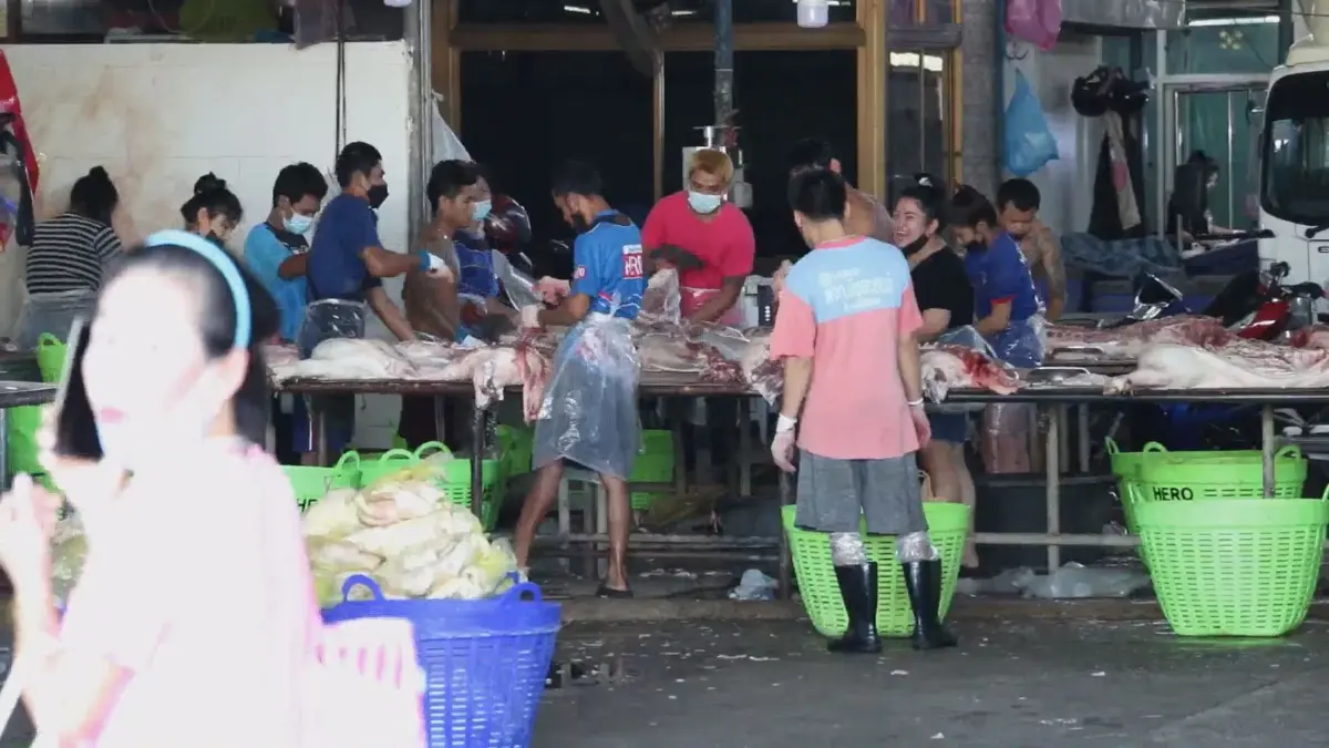 ผู้ค้าหมูเตือนราคาหมูแพงยาวไปอีก 6 เดือน ผู้ค้าหมูเตือนราคาหมูแพงยาวไปอีก 6 เดือน