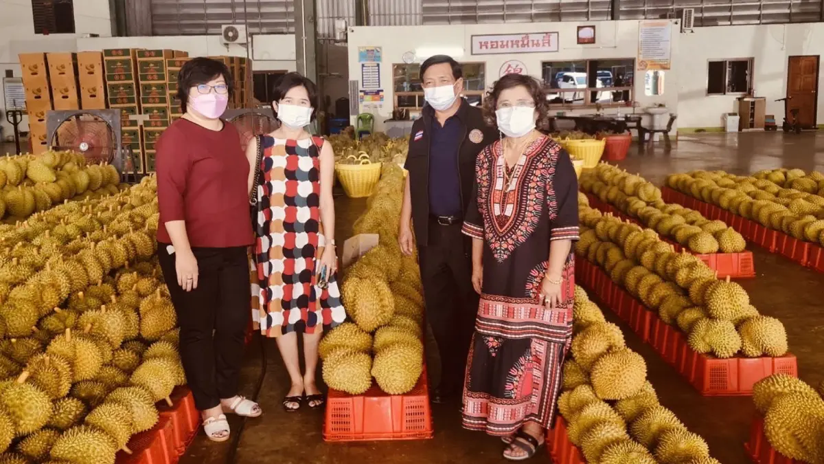 เกษตรฯ หนุนชุมพรฮับผลไม้ภาคใต้ มั่นใจรถไฟจีน-ลาว เพิ่มส่งออก เกษตรฯ หนุนชุมพรฮับผลไม้ภาคใต้ มั่นใจรถไฟจีน-ลาว เพิ่มส่งออก