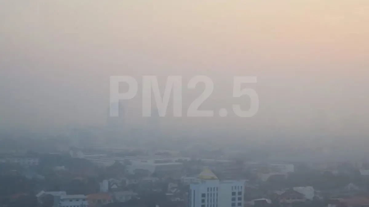 กทม. รายงานสถานการณ์ฝุ่น PM 2.5 พบเกินมาตรฐาน 6 พื้นที่ กทม. รายงานสถานการณ์ฝุ่น PM 2.5 พบเกินมาตรฐาน 6 พื้นที่