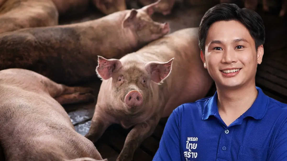 จี้รัฐบาลเปิดเผยความจริง การระบาดเชื้อ ASF ในเนื้อหมู จี้รัฐบาลเปิดเผยความจริง การระบาดเชื้อ ASF ในเนื้อหมู