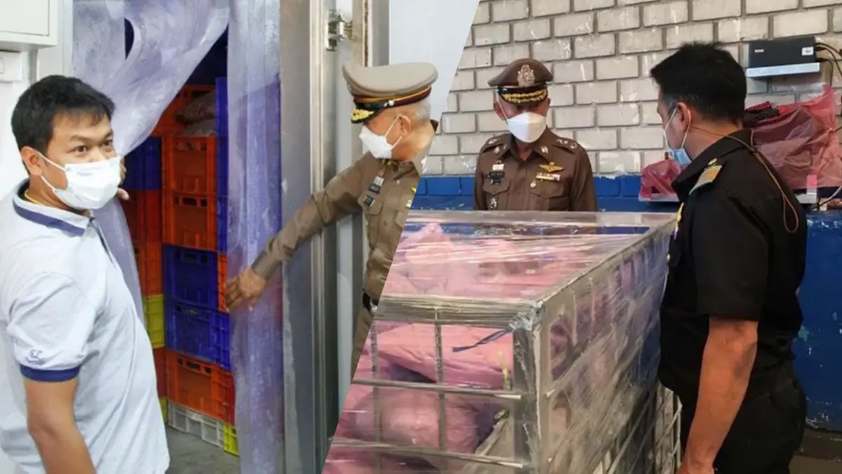 ตื่นตัว! สแกนห้องเย็น-สถานที่เก็บ "เนื้อหมู" ทั่วประเทศ ป้องกันกักตุน ตื่นตัว! สแกนห้องเย็น-สถานที่เก็บ "เนื้อหมู" ทั่วประเทศ ป้องกันกักตุน