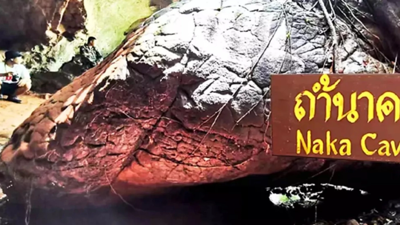 สั่งย้าย ! เจ้าหน้าที่ภูลังกา พบมีมูลทุจริต ปล่อยนทท.ขึ้น "ถ้ำนาคา"เกิน สั่งย้าย ! เจ้าหน้าที่ภูลังกา พบมีมูลทุจริต ปล่อยนทท.ขึ้น "ถ้ำนาคา"เกิน