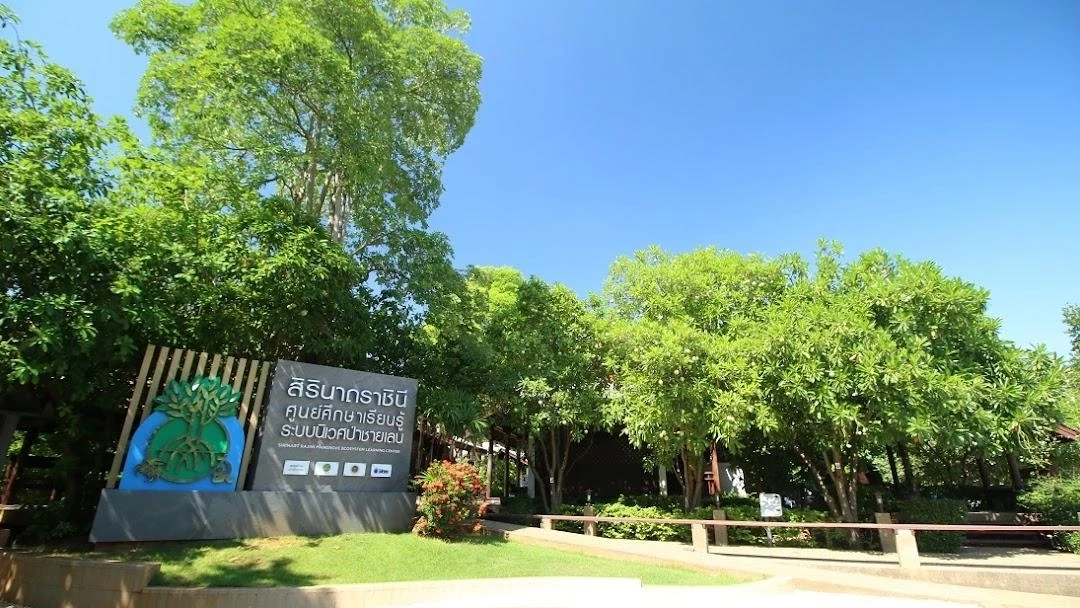 ทช.ร่วมปตท. เดินหน้าศูนย์ศึกษาเรียนรู้ระบบนิเวศป่าชายเลนสิรินาถราชินี ทช.ร่วมปตท. เดินหน้าศูนย์ศึกษาเรียนรู้ระบบนิเวศป่าชายเลนสิรินาถราชินี