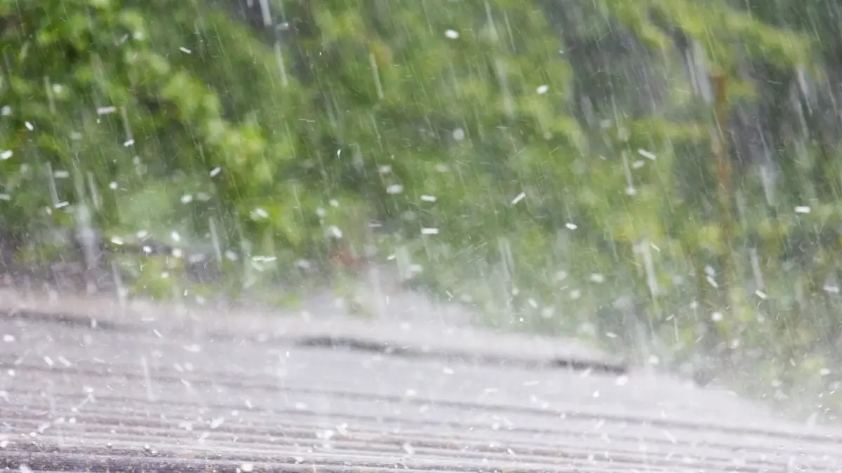 สภาพอากาศวันนี้ ภาคตะวันออก-อีสาน-ใต้ ยังคงมีพายุฝนฟ้าคะนอง-ลมกระโชกแรง สภาพอากาศวันนี้ ภาคตะวันออก-อีสาน-ใต้ ยังคงมีพายุฝนฟ้าคะนอง-ลมกระโชกแรง
