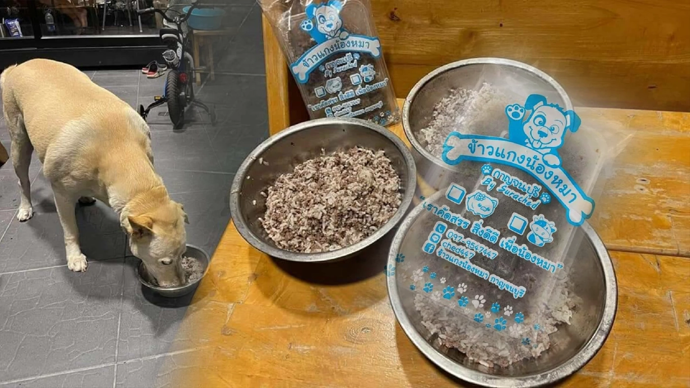 ข้าวแกง 'น้องหมา' สร้างรายได้ 1 พันบาท/วัน