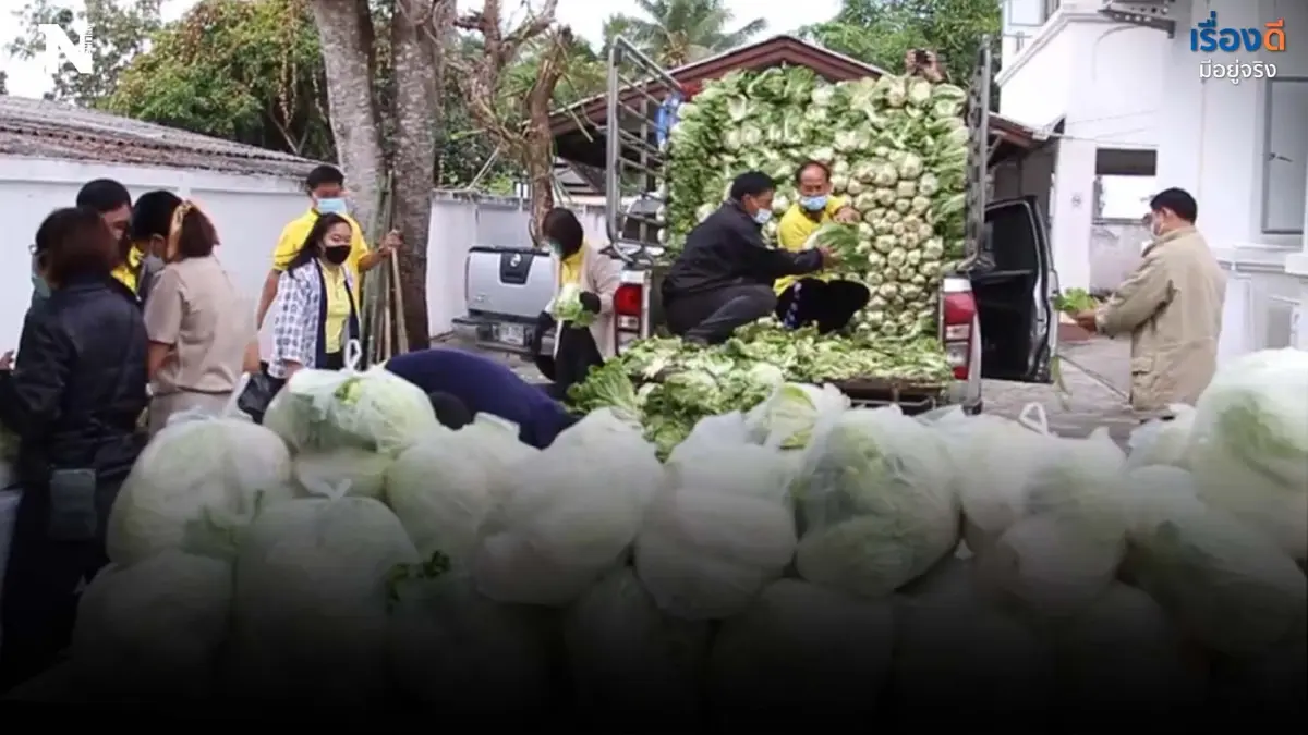 ได้ช่วยทั้ง 2 ฝ่าย ซื้อผักสดชาวม้งแจกปชช.ฟรี ได้ช่วยทั้ง 2 ฝ่าย ซื้อผักสดชาวม้งแจกปชช.ฟรี