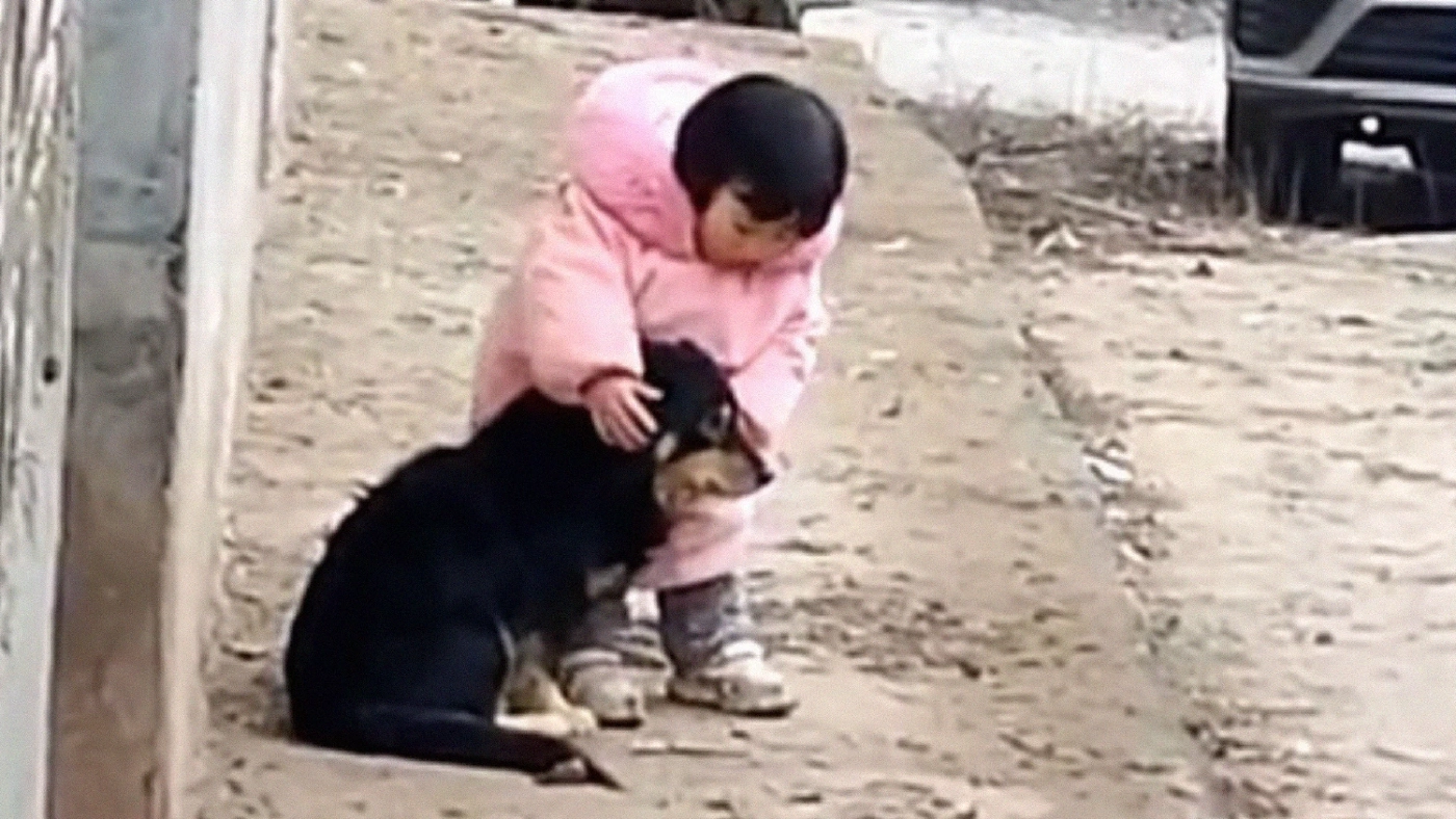 คลิปวิดีโออบอุ่นหัวใจ "น้องจ๋าอย่ากลัว"