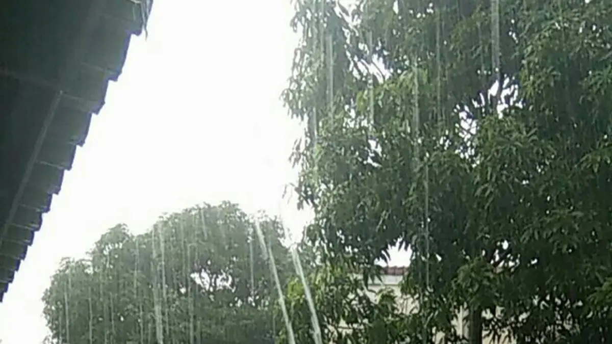 สภาพอากาศวันนี้ อุตุฯ เผยว่า ทั่วทุกภาคยังคงมีฝนกับมีอากาศเย็นในตอนเช้า