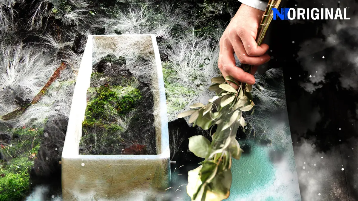 เมื่อโลงศพมีชีวิตด้วยเส้นใยเห็ดรา ‘Mycelium’ ผลิตภัณฑ์ทางเลือกรักษ์โลกแห่งอนาคต