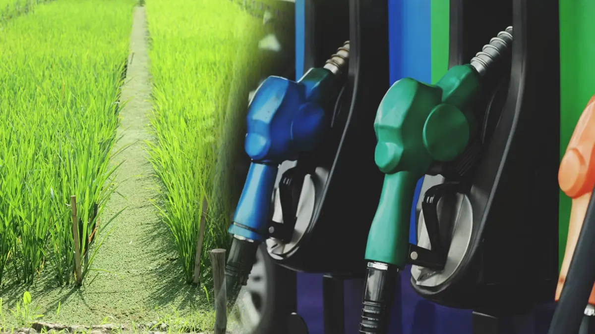 น้ำมันที่ปรับตัวสูงขึ้น ดัน 'ต้นทุน' ทำนาพุ่ง