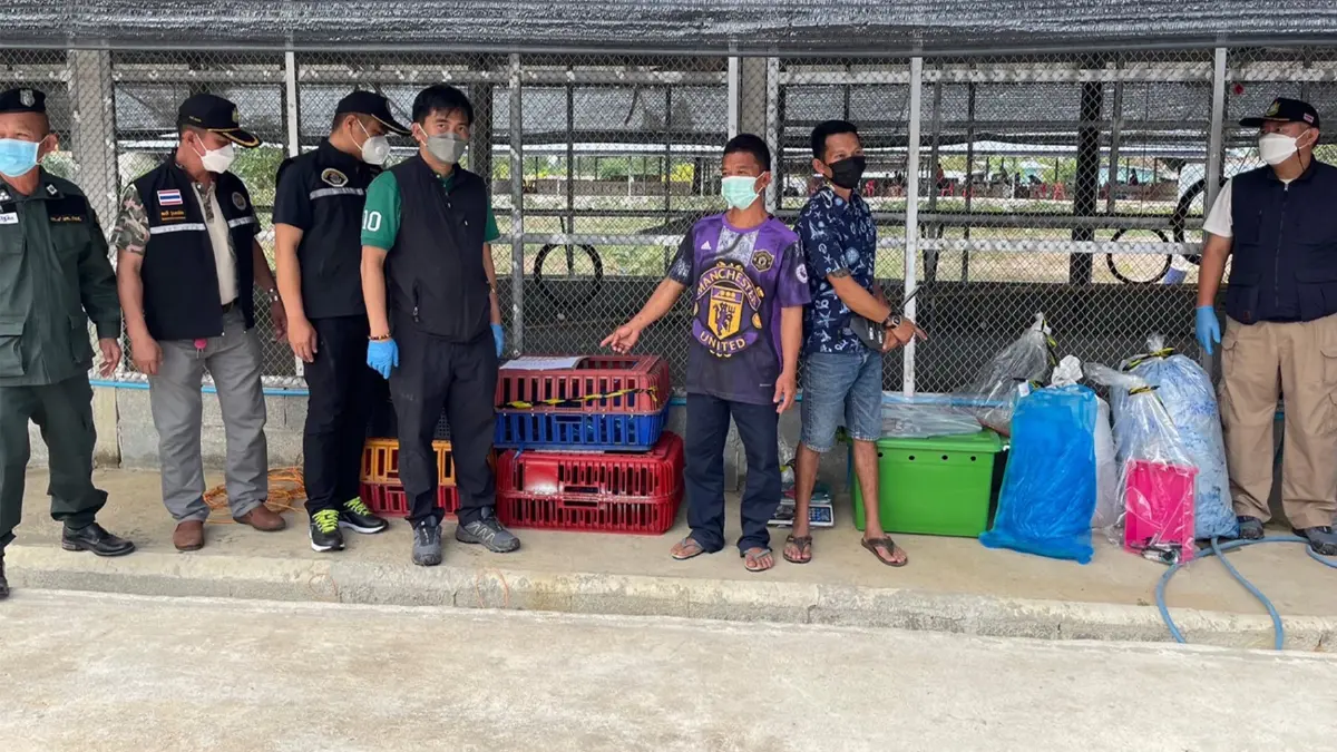 หน่วยพญาเสือ จับกุมขบวนการลักลอบล่าลิงส่งออกไปตปท.