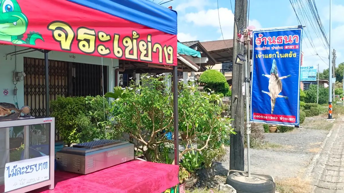 พลิกวิกฤติหมูแพง"ธนาจระเข้ย่าง"เจ้าแรกเจ้าเดียวในจ.ตรัง