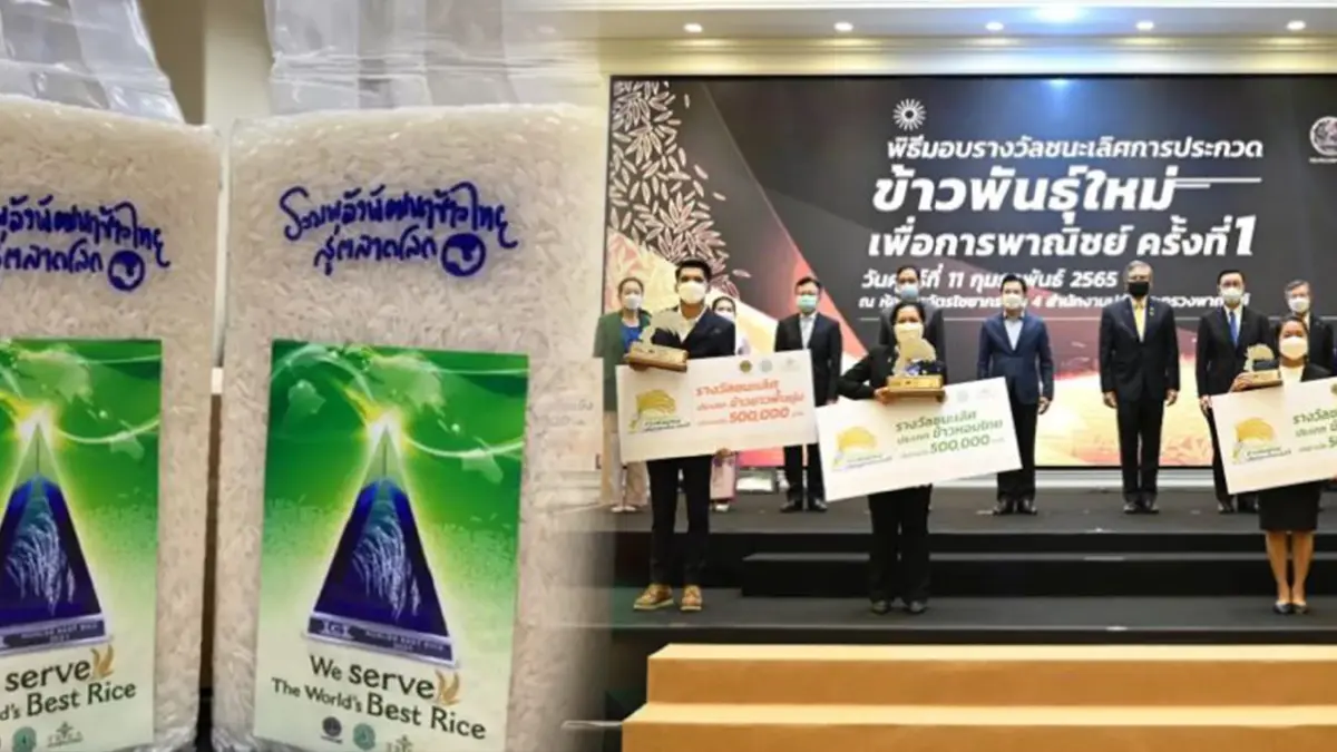 ศูนย์วิจัยข้าวปทุมธานี คว้ารางวัล 'ข้าวหอม' ศูนย์วิจัยข้าวปทุมธานี คว้ารางวัล 'ข้าวหอม'