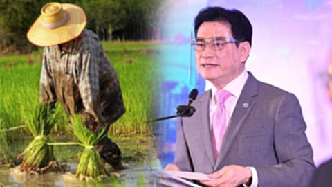 'จุรินทร์' ลุยประกันรายได้ 5 สินค้าเกษตร