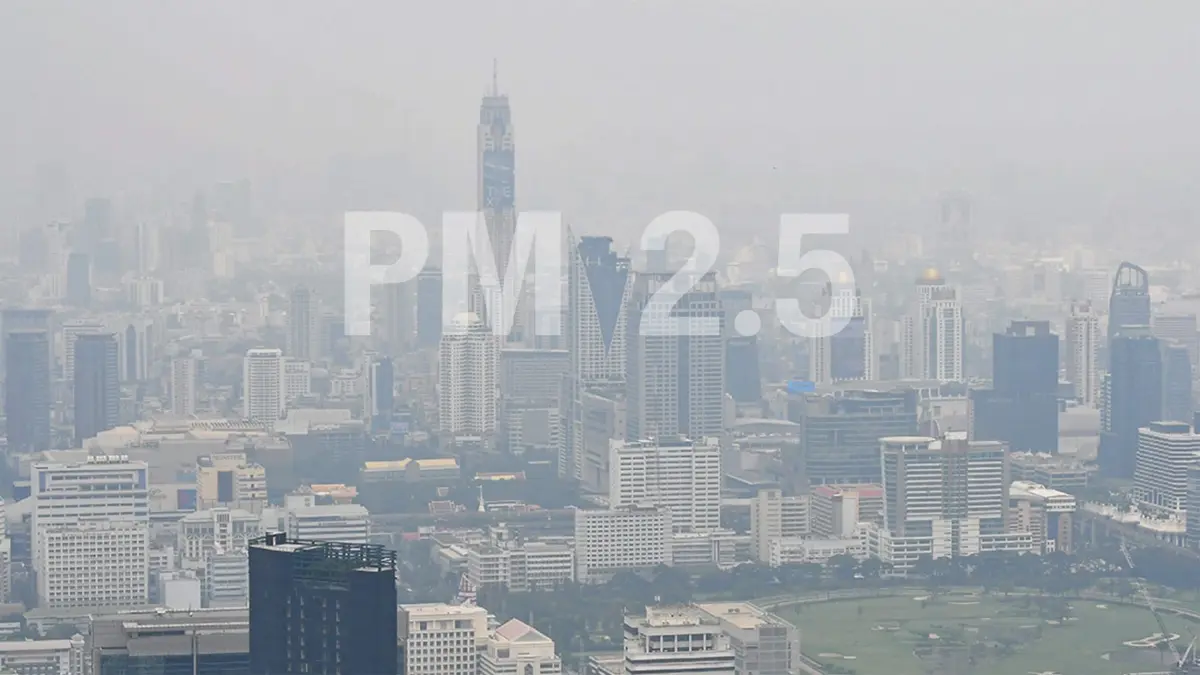 อากาศเช้าวันนี้ คุณภาพอากาศดีมาก ไม่พบ PM 2.5 เกินมาตรฐาน อากาศเช้าวันนี้ คุณภาพอากาศดีมาก ไม่พบ PM 2.5 เกินมาตรฐาน