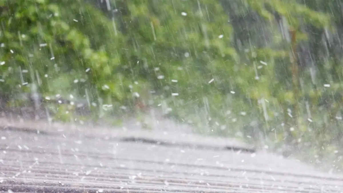 "พยากรณ์อากาศ" เหนือ-อีสาน-กลาง ยังคงมีพายุฝนฟ้าคะนอง หลังจากนี้อีสานจะหนาว