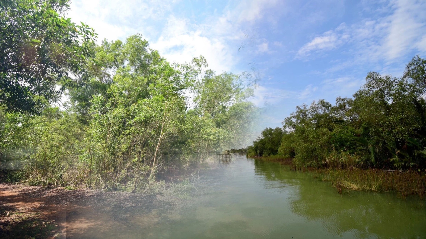 วช. ผนึก ม.หาดใหญ่ พลิกฟื้น “ป่าชายเลนทะเลสาบสงขลา” เสริมระบบนิเวศ