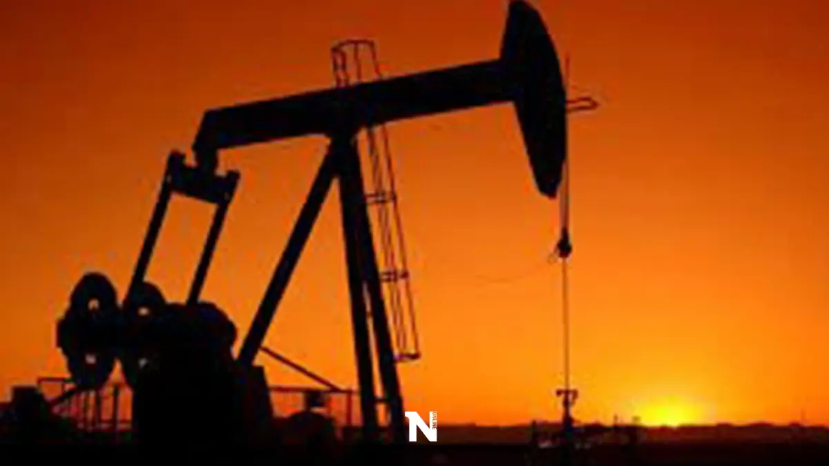 ราคาน้ำมันดิบ WTI พุ่ง ใกล้ 100 ดอลลาร์ หลังรัสเซียเปิดฉากบุกยูเครน ราคาน้ำมันดิบ WTI พุ่ง ใกล้ 100 ดอลลาร์ หลังรัสเซียเปิดฉากบุกยูเครน