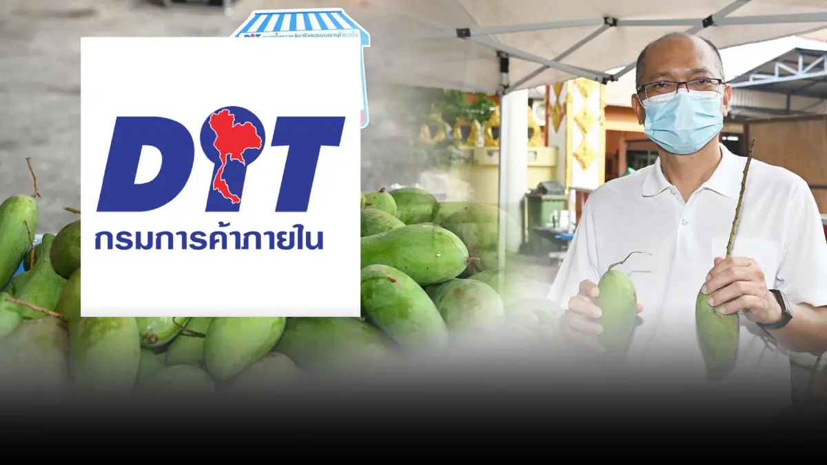 ชาวสวนเฮ กรมการค้าภายในรับซื้อ"มะม่วงฟ้าลั่น"หวังกระจายผลผลิตขายได้ราคา ชาวสวนเฮ กรมการค้าภายในรับซื้อ"มะม่วงฟ้าลั่น"หวังกระจายผลผลิตขายได้ราคา