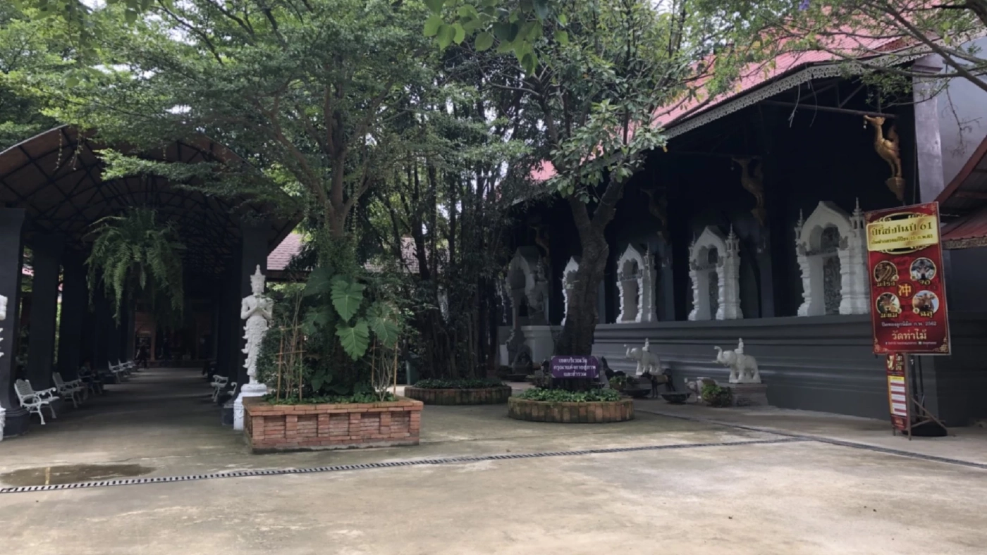 "วัดท่าไม้" สุดเงียบเหงา แทบไร้เงานักท่องเที่ยว หลังมีดราม่าทัวร์ลงติดๆ