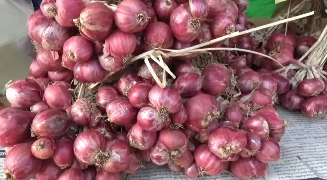 เกษตรกรผู้ปลูกหอมแดงโอดราคาร่วงเหลือกก.5 บาท
