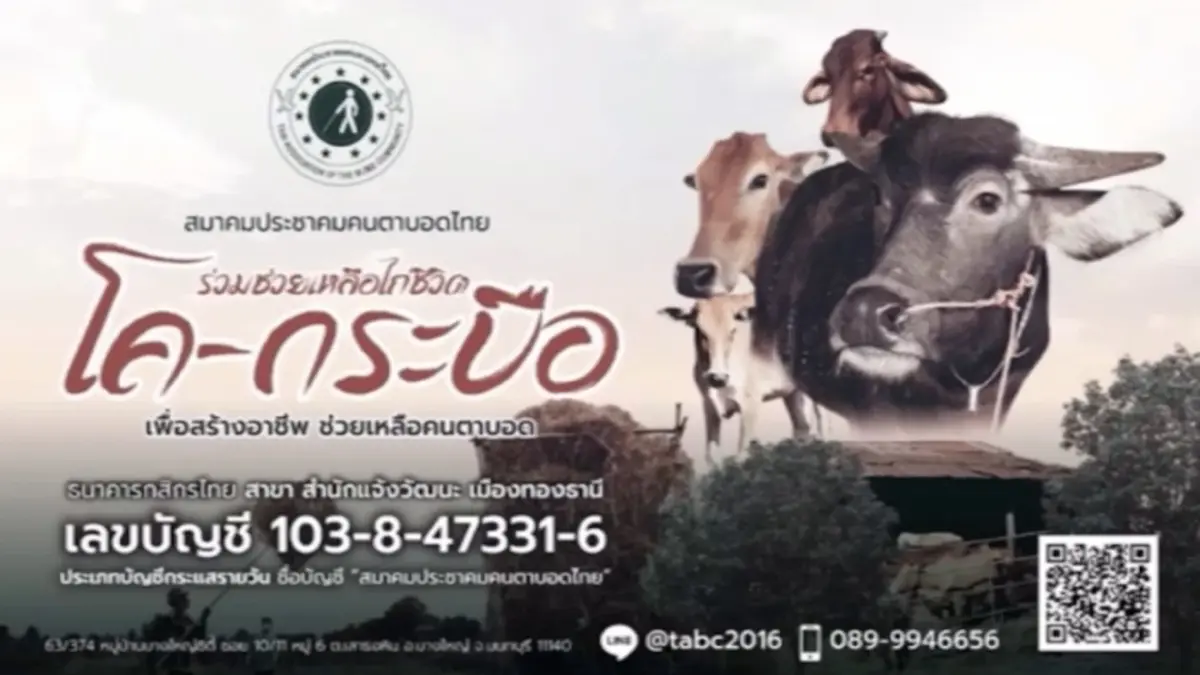 “สมาคมประชาคมคนตาบอดไทย ชวนสร้างไถ่ชีวิตโค-กระบือ สิริมงคลในชีวิต” “สมาคมประชาคมคนตาบอดไทย ชวนสร้างไถ่ชีวิตโค-กระบือ สิริมงคลในชีวิต”