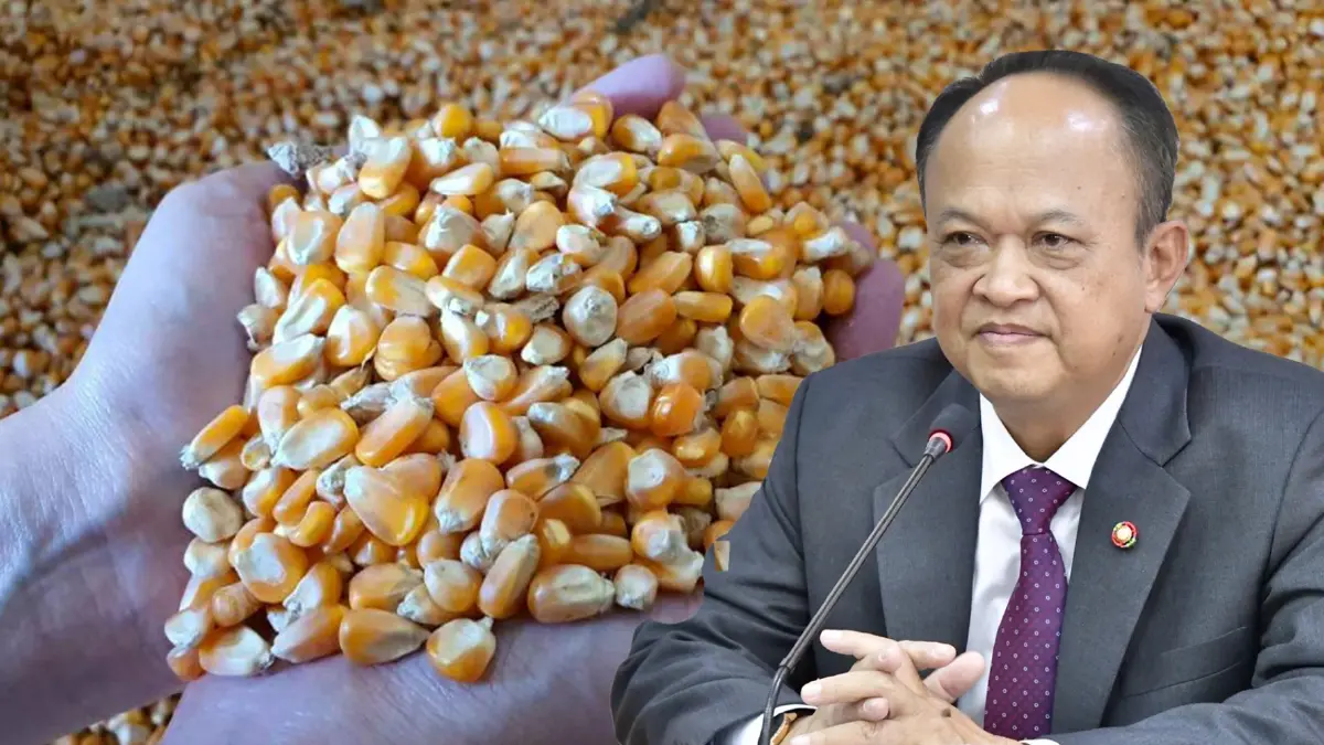กระทรวงเกษตรฯปัด 'เอื้อ' ผู้ผลิตอาหารสัตว์