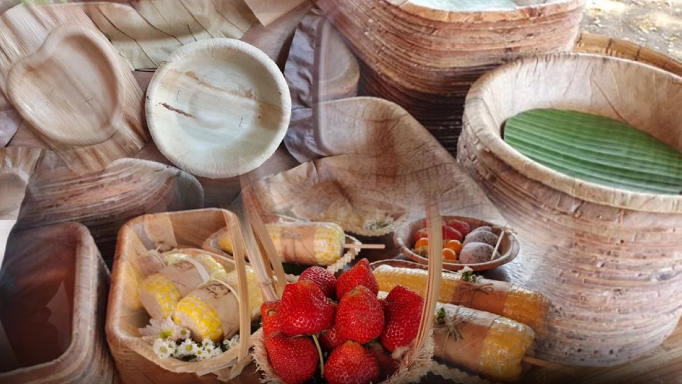 'ใบตองตึง' สร้างรายได้เดือนละหมื่นห้า-แก้ไฟป่า