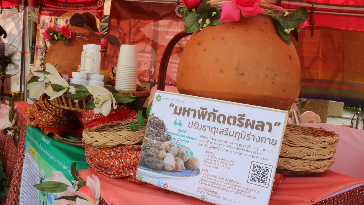 แพทย์แผนไทยหนุน 15 สมุนไพรมีตัวยาป้องกันโควิด 19